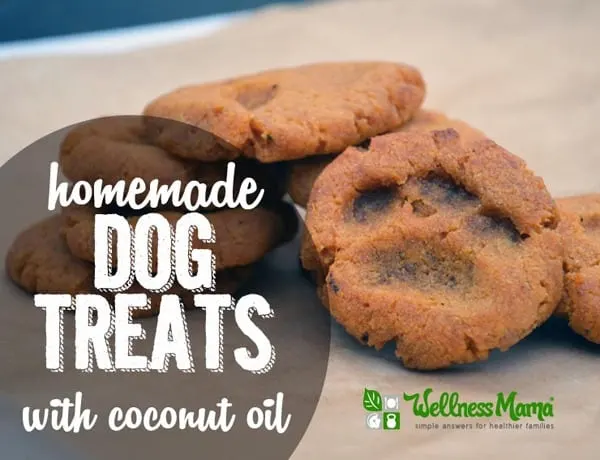 Homemade Dog Treats (With Coconut Oil)