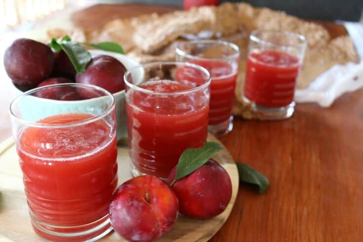 Take summer's fresh plums and create this amazing, thick Plum Nectar. This recipe is so simple and uses the entire flesh to keep you hydrated and nourished. This easy Plum Nectar recipe will quench your thirst this summer while not creating any waste. Unlike regular juice, you'll puree the fruit for an amazing texture.