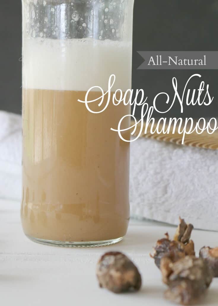 All-Natural Soap Nuts Shampoo - made with natural soap nut berries to clean your hair. 