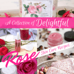 Look no further for the best DIY Rose Skincare Recipes! Learn how to make DIY Rosewater Toner, Rose Sugar Scrub, Rose Anti-aging Lotion and more!