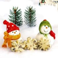 Ultra Moisturizing Bath Melt Recipe