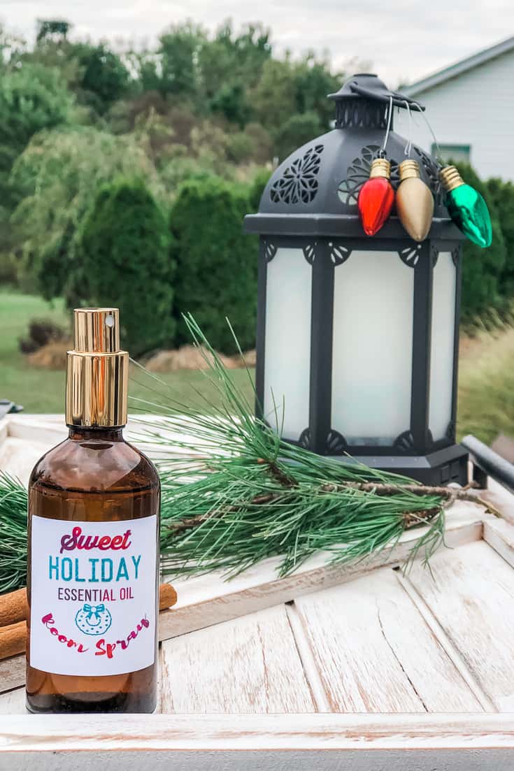 DIY Cinnamon Air Freshener with Essential Oils Simple Pure Beauty
