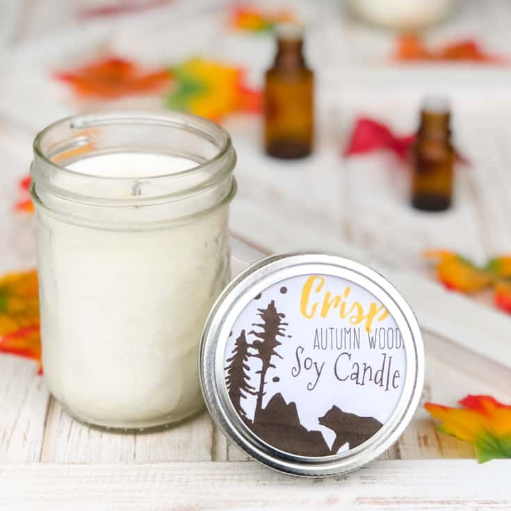 Woodsy Scented Soy Candle Recipe Simple Pure Beauty