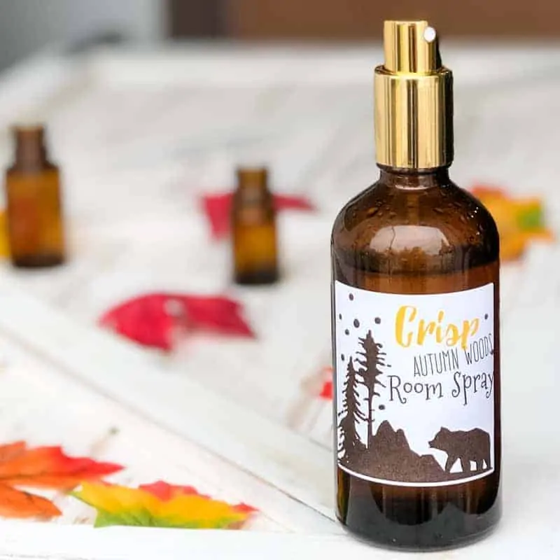 DIY essential oil room spray autumn scent