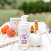 Pumpkin Spice Fall Foaming Hand Soap Recipe