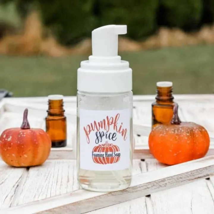 Pumpkin Spice Fall Foaming Hand Soap Recipe