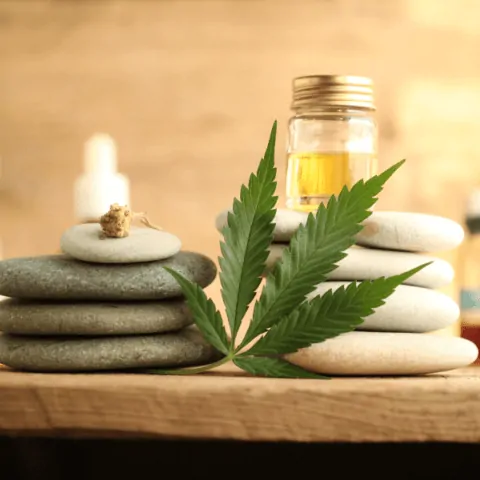 CBD Massage Oil Recipe