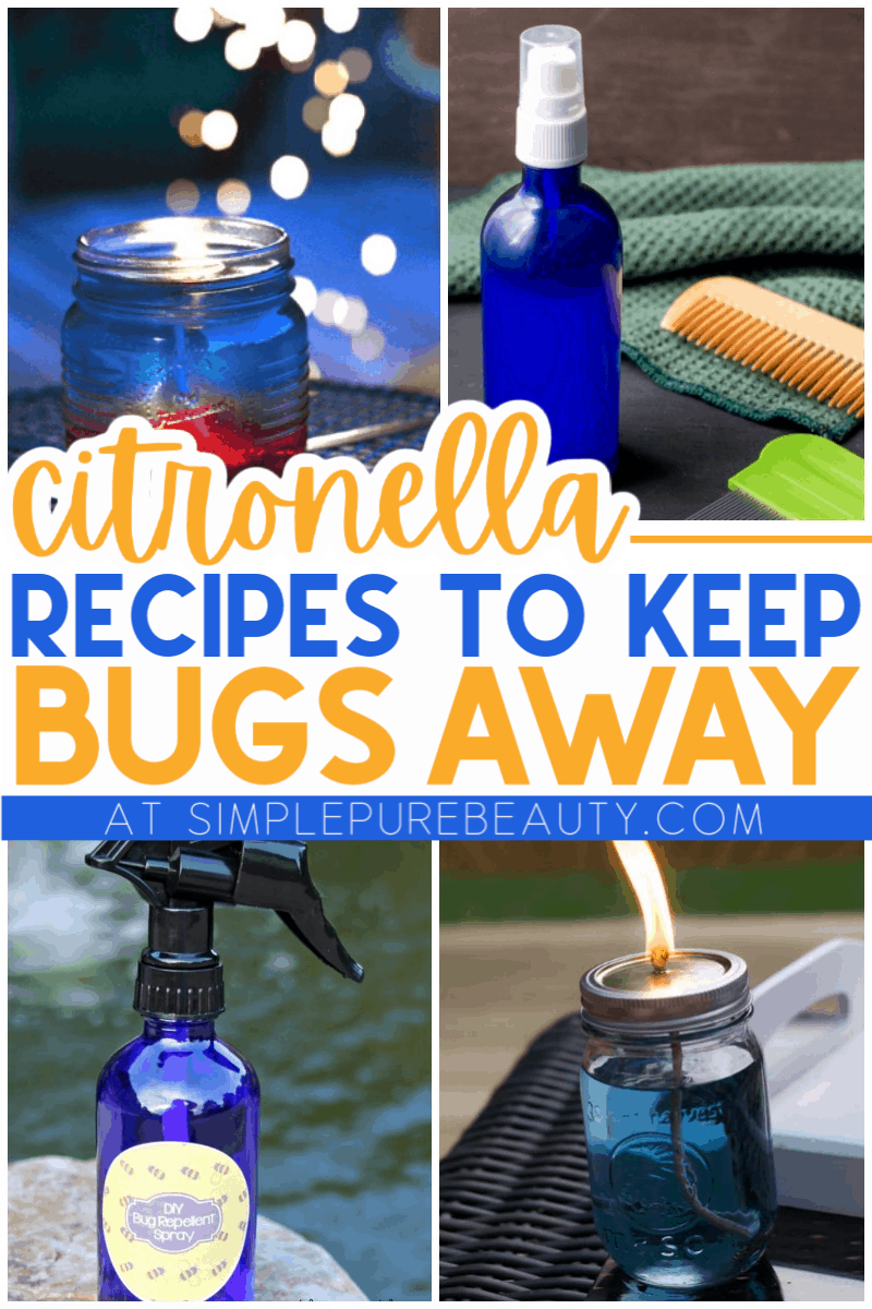 citronella recipes to keep bugs away