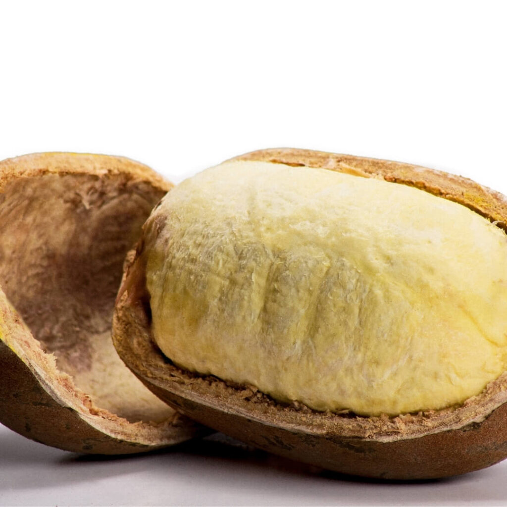 Cupuacu Butter for Skincare Benefits