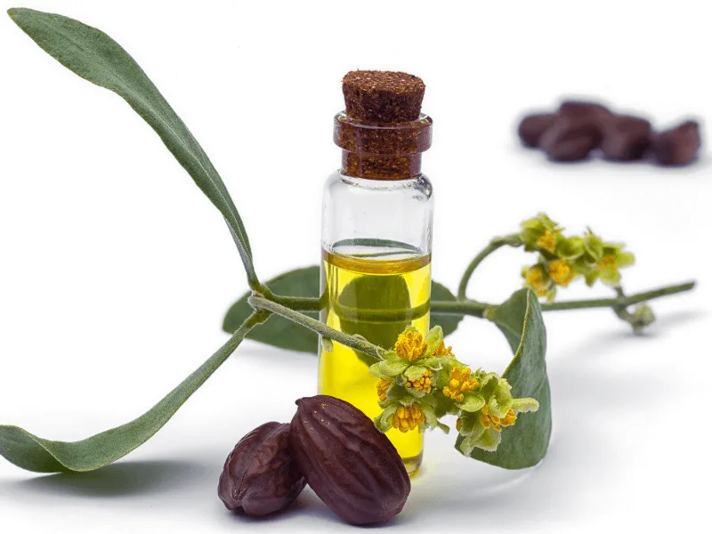 Jojoba Oil Skincare Benefits