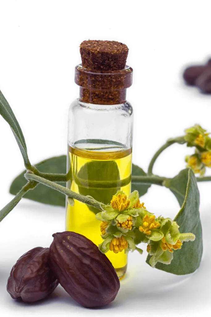 Jojoba Oil Skincare Benefits