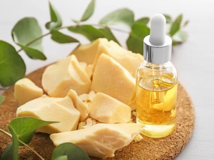 Comedogenic Ratings of Skincare Ingredients Carrier Oils & Butters