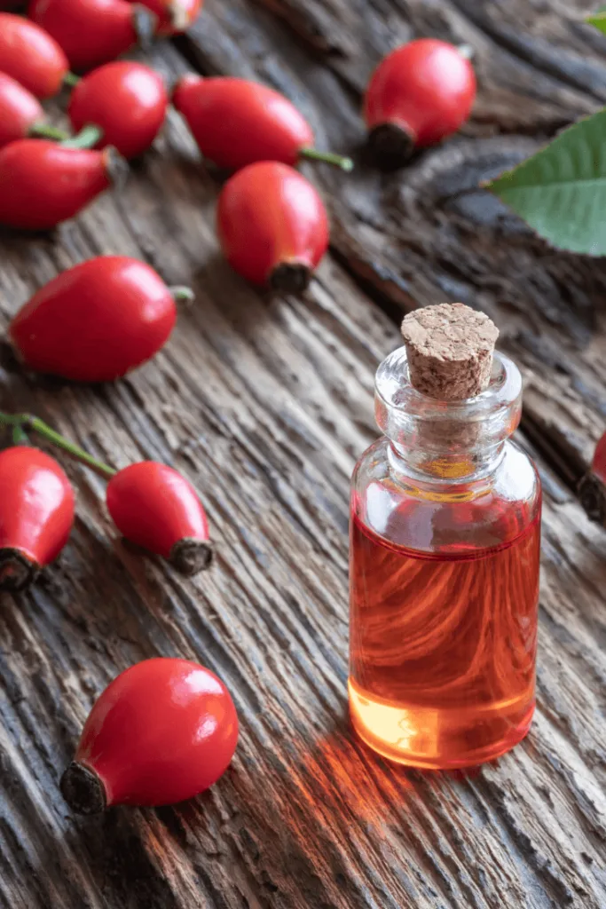 Rosehip Seed Oil Skincare Benefits