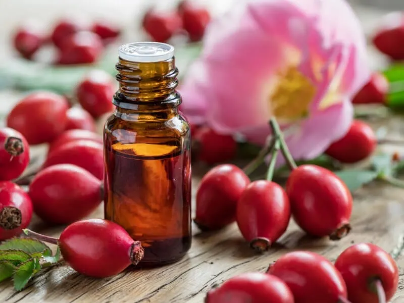 Rosehip Seed Oil Skincare Benefits