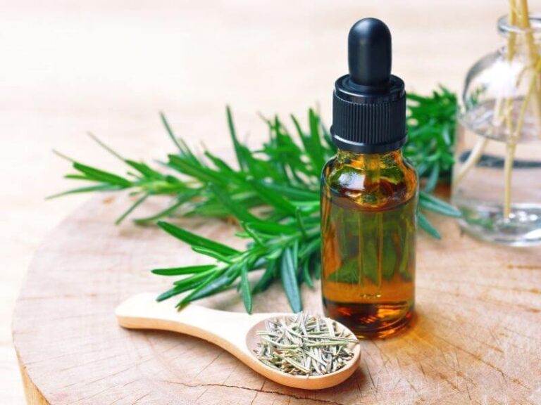 Rosemary CO2 Extract Antioxidant Benefits for Skin How to Use, Where
