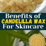 Candelillla Wax Benefits for skin