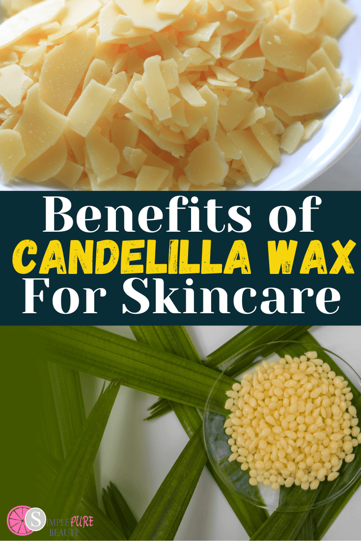 Candelilla Wax Benefits & Uses Where to Buy + DIY Recipes! Simple