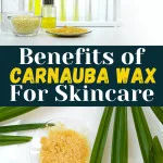 Carnauba Wax Benefits in Skincare