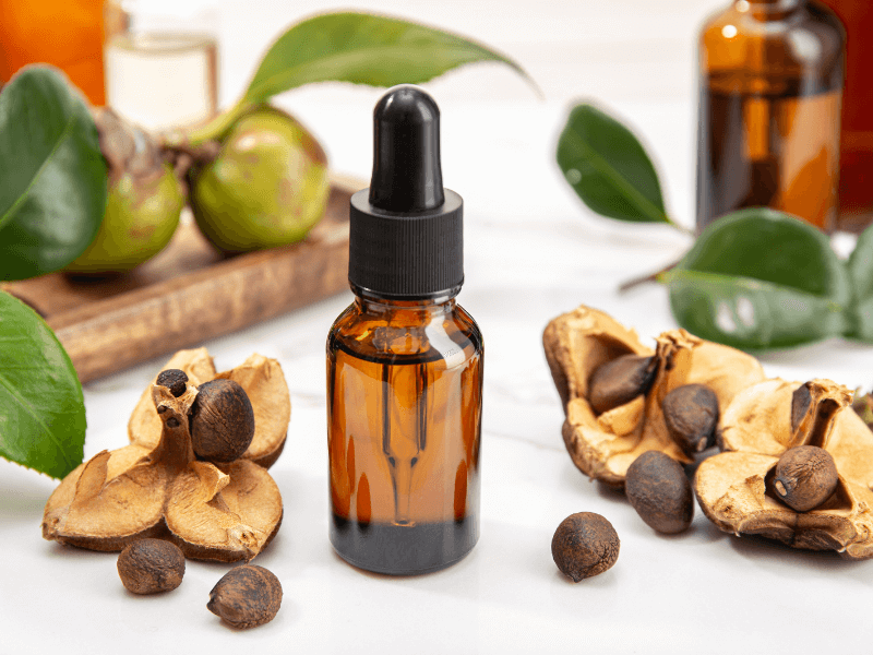 Camellia Seed Oil Benefits for Skin