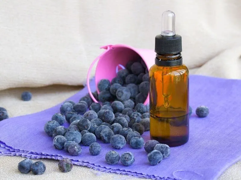 Blueberry Seed Oil Benefits for skin