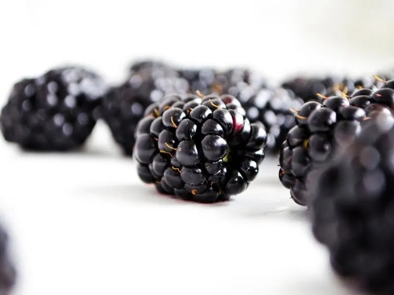 blackberries